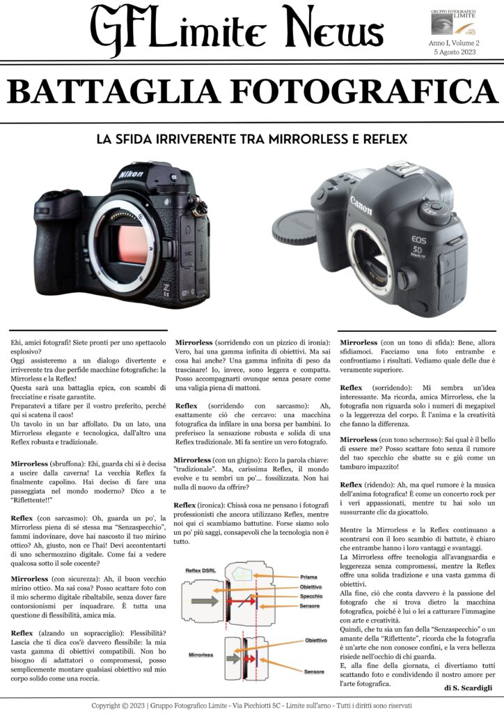 Mirrorless contro reflex