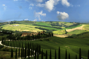 Quagliariello Carmine